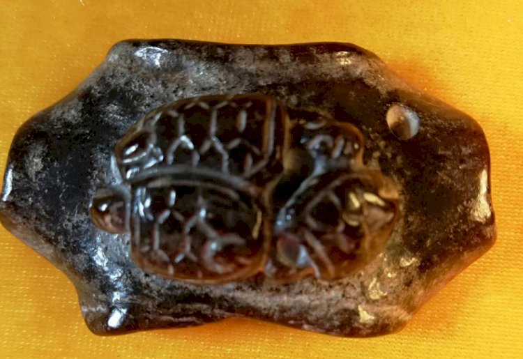 K004. A Jade Pendant of the Swimming Turtle Family