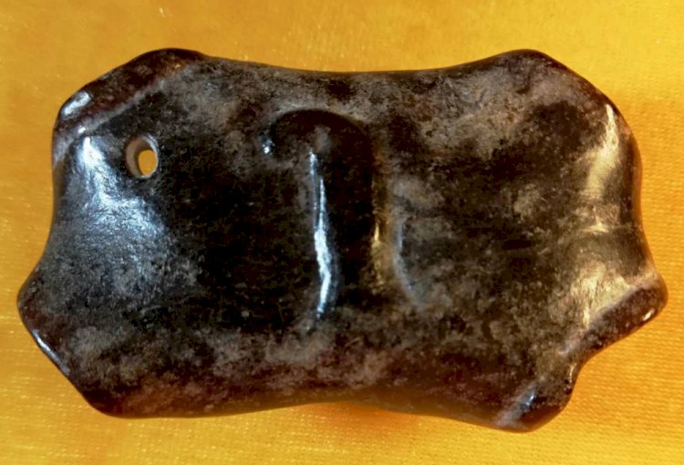 K004. A Jade Pendant of the Swimming Turtle Family