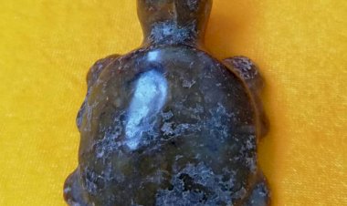 D006 A Brown Jade Turtle Pendant